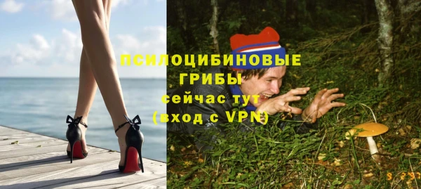 spice Володарск