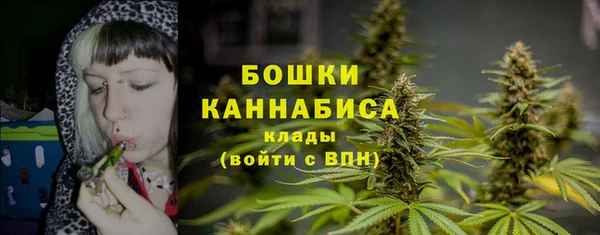 spice Володарск