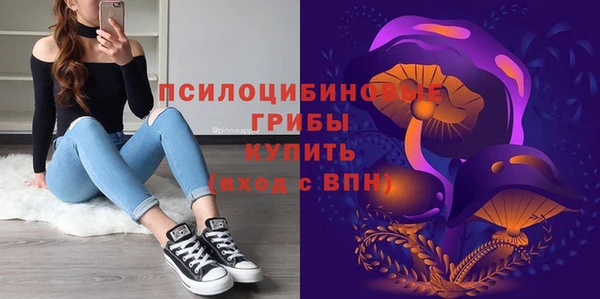 spice Володарск