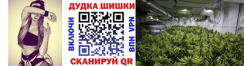 мега ССЫЛКА  Всеволожск  Каннабис White Widow 